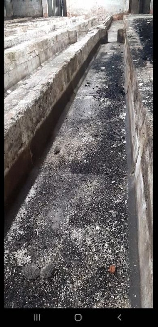 Здам в оренду ферми, склади с. Покровське, Решетилівський р-н Полтава - зображення 2