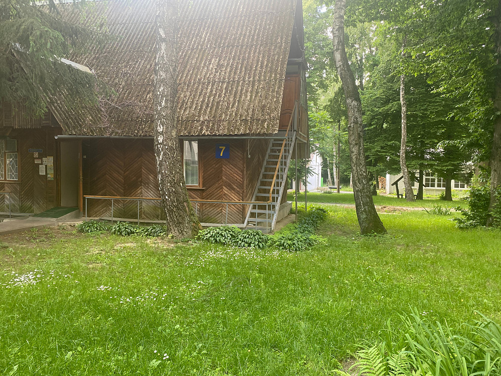 Зміцнення імунітету та підтримка здоров'я Хмельник - зображення 1