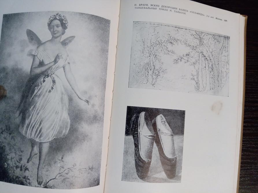 Книга: История русского балета. Львов - изображение 7