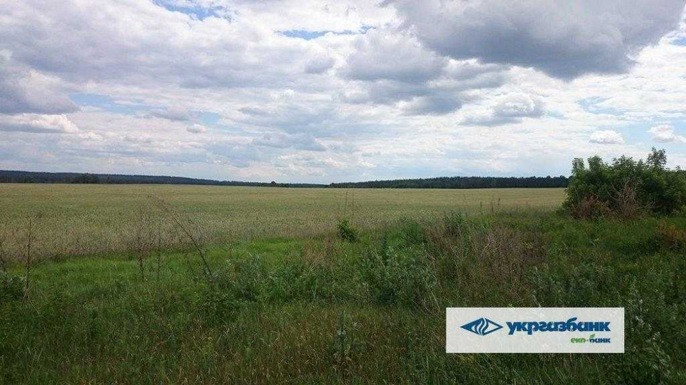 продажа земля сельскохозяйственного назначения Макаровский, Мостище, 1339000 грн.  - зображення 10