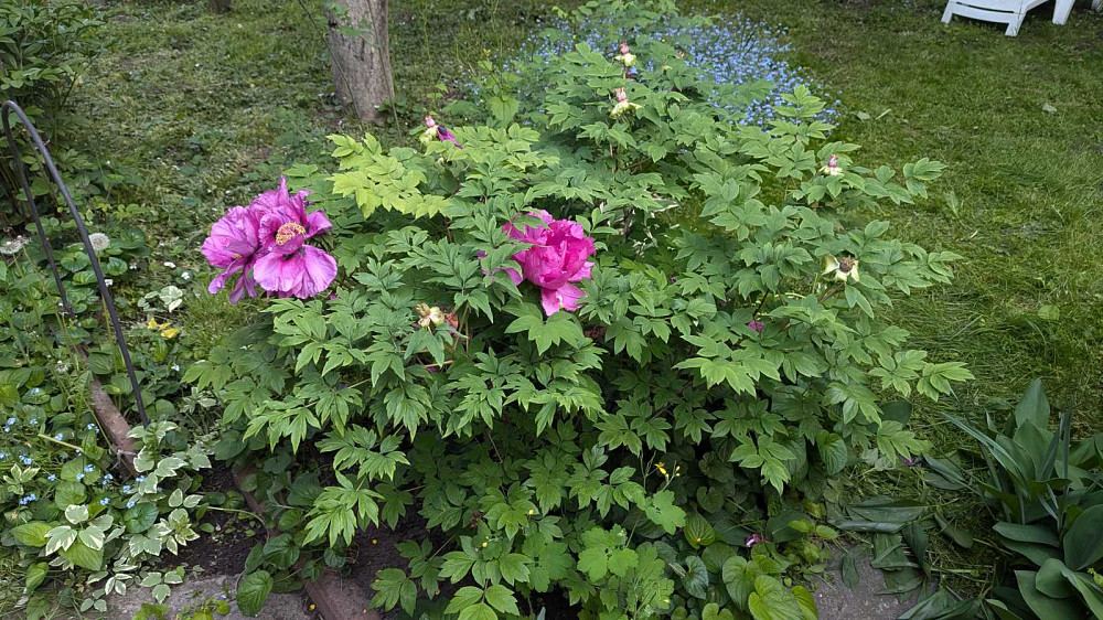 продажа 4-к дом Киев, Дарницкий, 72000 $ Киев - изображение 12