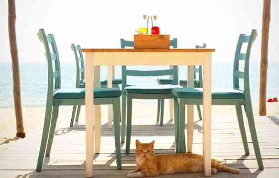 Стул Papatya Nosta-S белый Киев