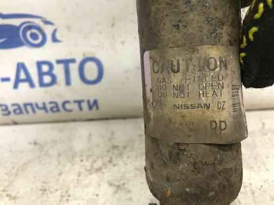 Амортизатор задний Nissan Qashqai 2013-2022 E62104EA2A (Арт. 49332) Киев