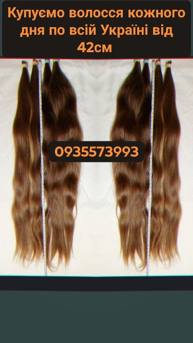 Скуповуємо волосся кожного дня по всій Україні від 42см -0935573993 Луцьк - зображення 1