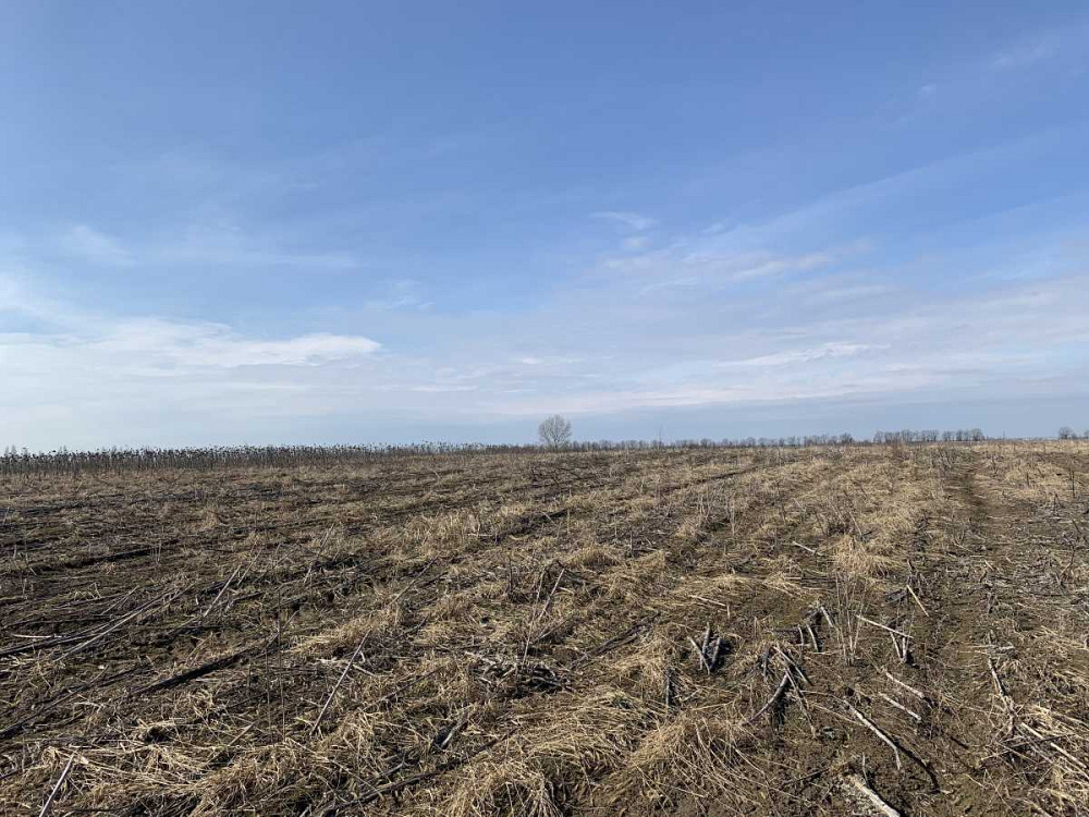 продажа земля сельскохозяйственного назначения Бориспольский, Глубокое, 389700 грн.  - изображение 2