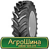 420/85 R24 Cultor RD-01 137/137A8/B Сільгосп шина Київ