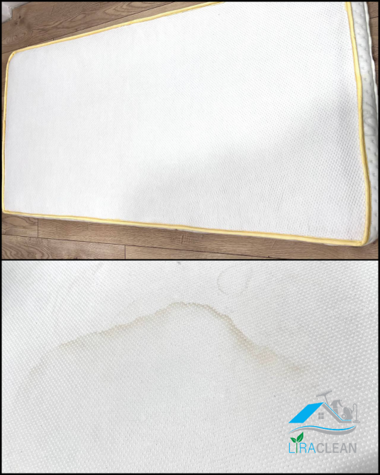 Клінінг/Прибирання/Хімчистка меблів Житомир - зображення 2