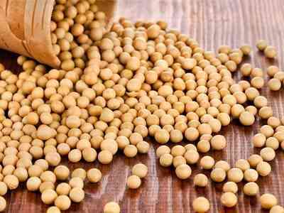 Куплю сою в Черкассах Черкаси