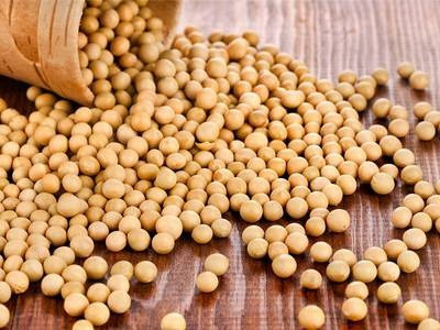 Куплю сою в Черкассах Черкаси - зображення 1