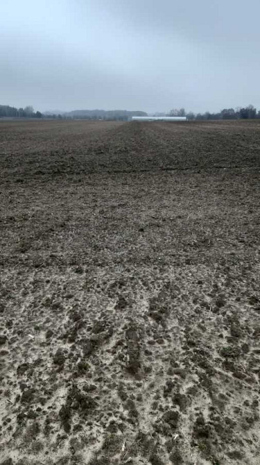 продажа земля сельскохозяйственного назначения Бориспольский, Вороньков, 223533 грн.  - зображення 4