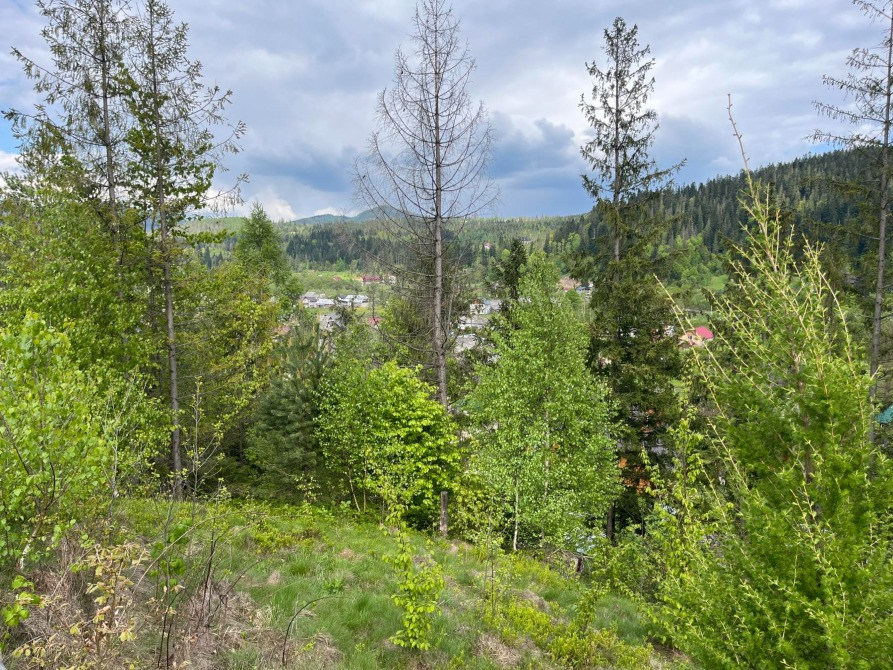 Земельна ділянка в Микуличині 0.08 га. Яремче - зображення 8