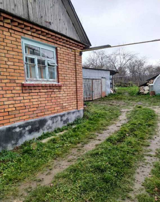 продажа 1-к дом Виньковцы, Покутинцы, 135496 грн.  - зображення 3