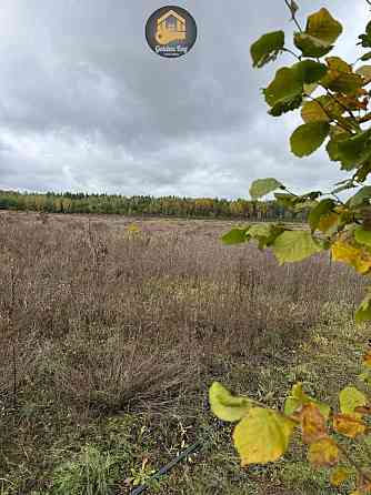 продажа земля сельскохозяйственного назначения Вышгородский, Ровы, 28000 $ 