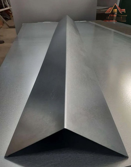 Коник звичайний, коник покрівельний, конек, коньок Киев - изображение 5