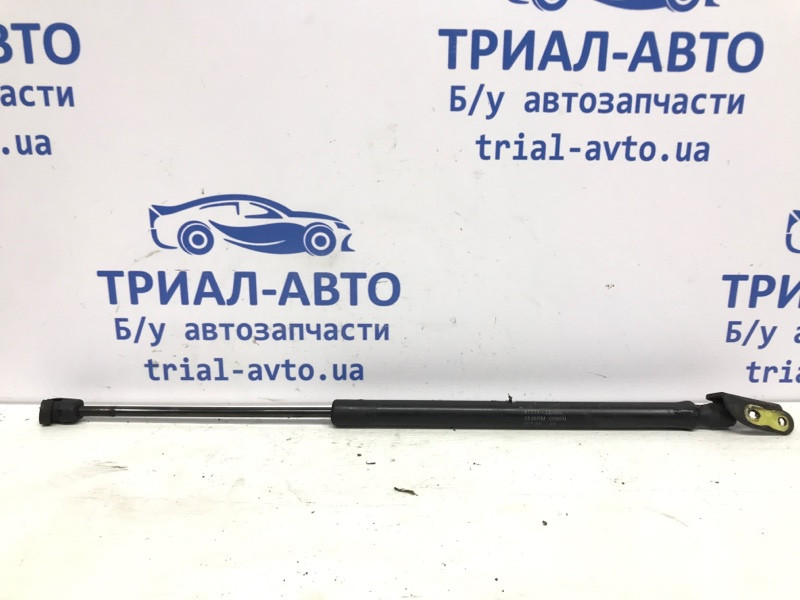 Амортизатор крышки багажника Hyundai Tucson JM 2.0 DIESEL D4EA 2004 (б/у) Киев - изображение 1