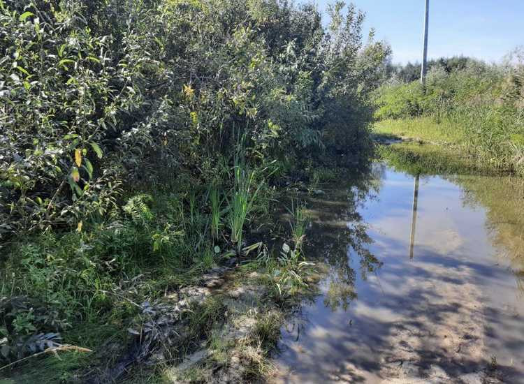 продажа земля сельскохозяйственного назначения Бориспольский, Вороньков, 168330 грн.  - зображення 3