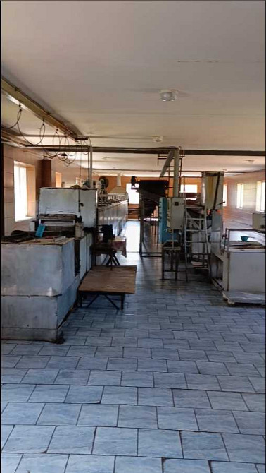 долгосрочная аренда производственные помещения Ставищенский, Ставище, 80000 грн./мес.  - зображення 6