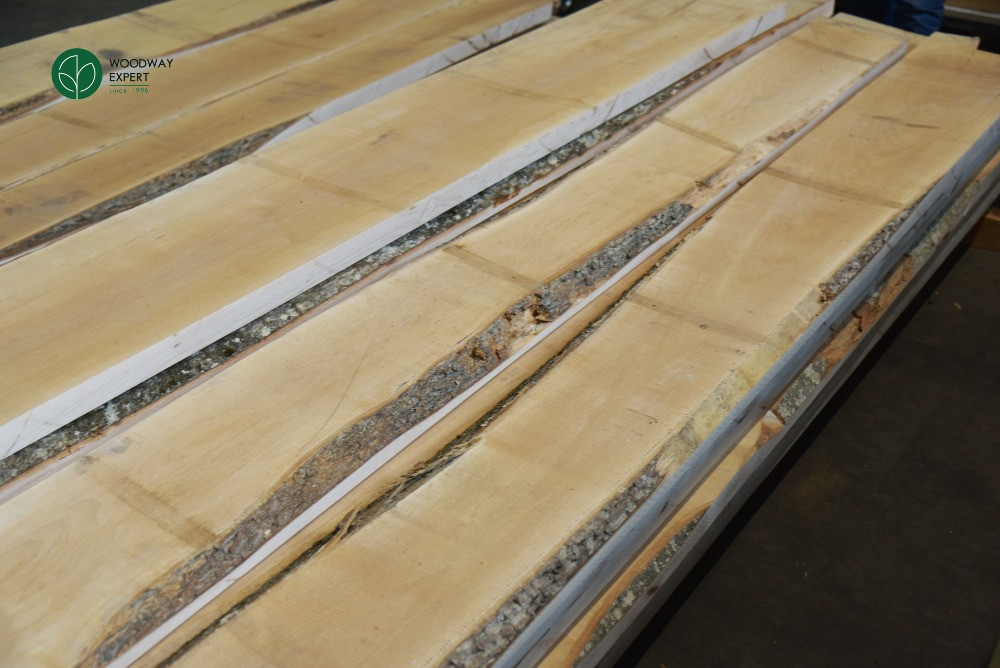 Дошка БУК столярна, камерної сушки 8% - 32/52 мм (доска бука) Київ - зображення 3