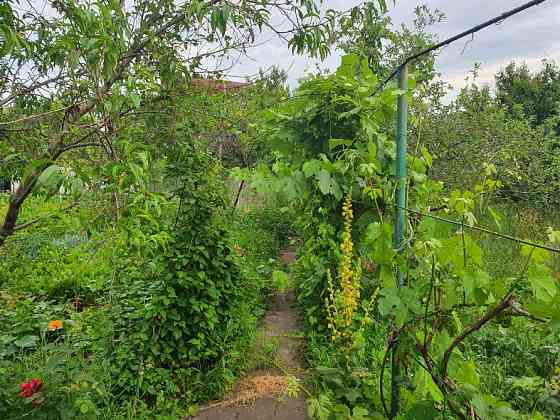 Продам дачу в Романках Кременчук
