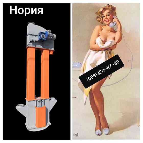 Нория НЦ-50 для подачи тырсы. Норія для цемента. Норія Київ