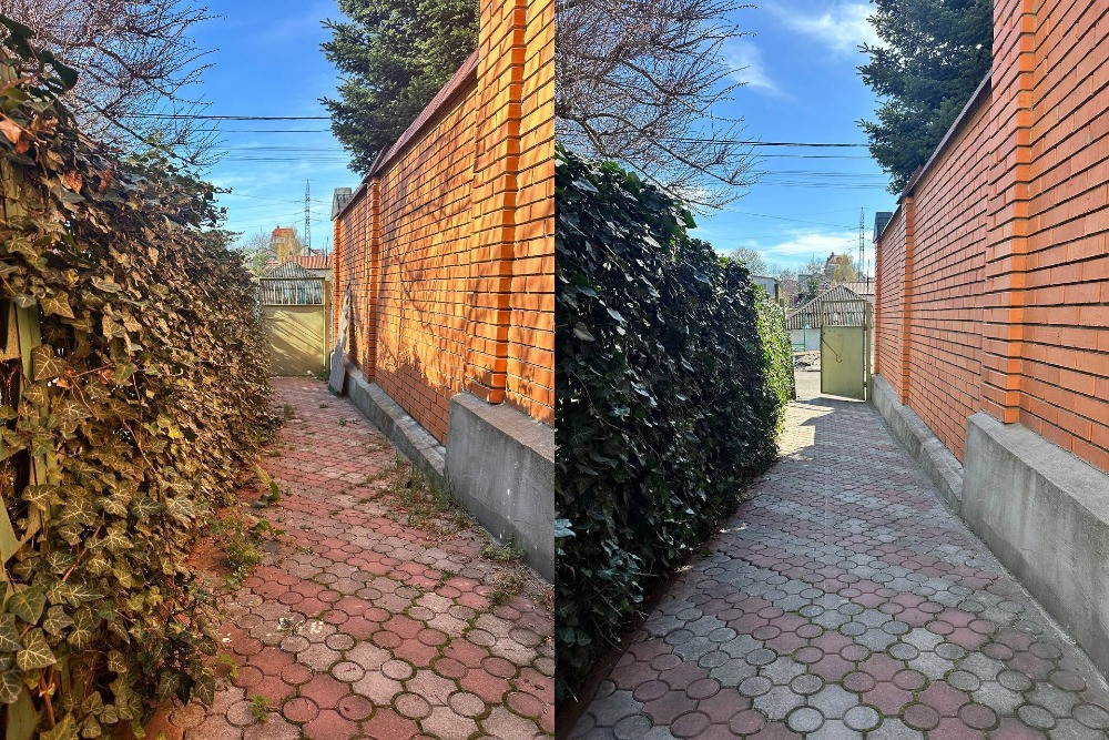 Уборка заброшек, расчистка участков быстро аккуратно Одесса - изображение 4