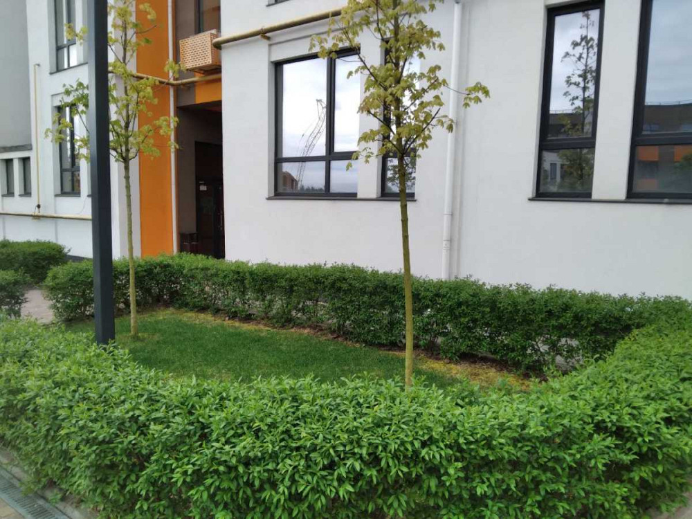 продажа 2-к квартира Киево-Святошинский, Ирпень, 73000 $ Ирпень - изображение 9