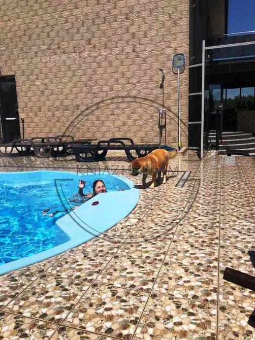 Первая сдача! Сдается в аренду дом в поселке Большая Солтановка. № 139250 Киев - изображение 4