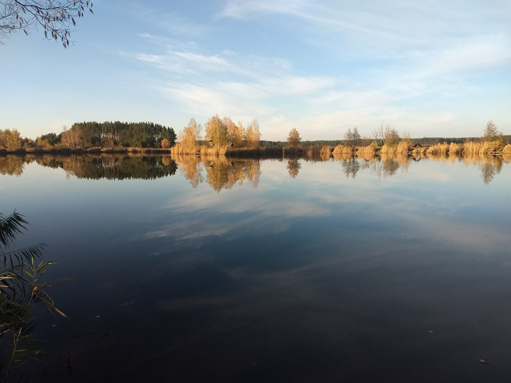 Земельный участок под садоводчество и постройку дома 12 соток в с. Дружня, Бородянского района Бородянка - зображення 2