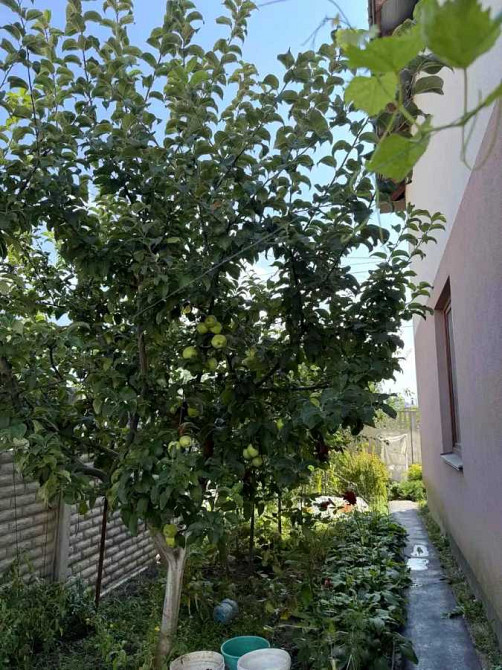 продажа 5-к коттедж Киево-Святошинский, Ворзель, 84000 $  - зображення 3