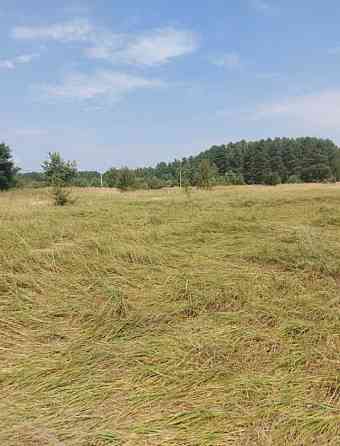 продажа участок под жилую застройку Вышгородский, Ясногородка, 7000 $ 