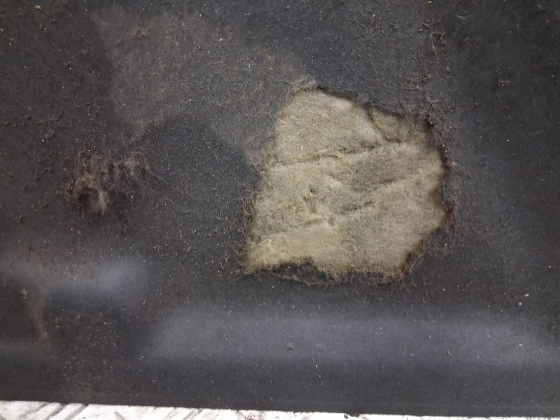 Обшивка капота Kia Sorento XM 2.4 БЕНЗИН G4KJ 2009 (б/у) Киев - изображение 4