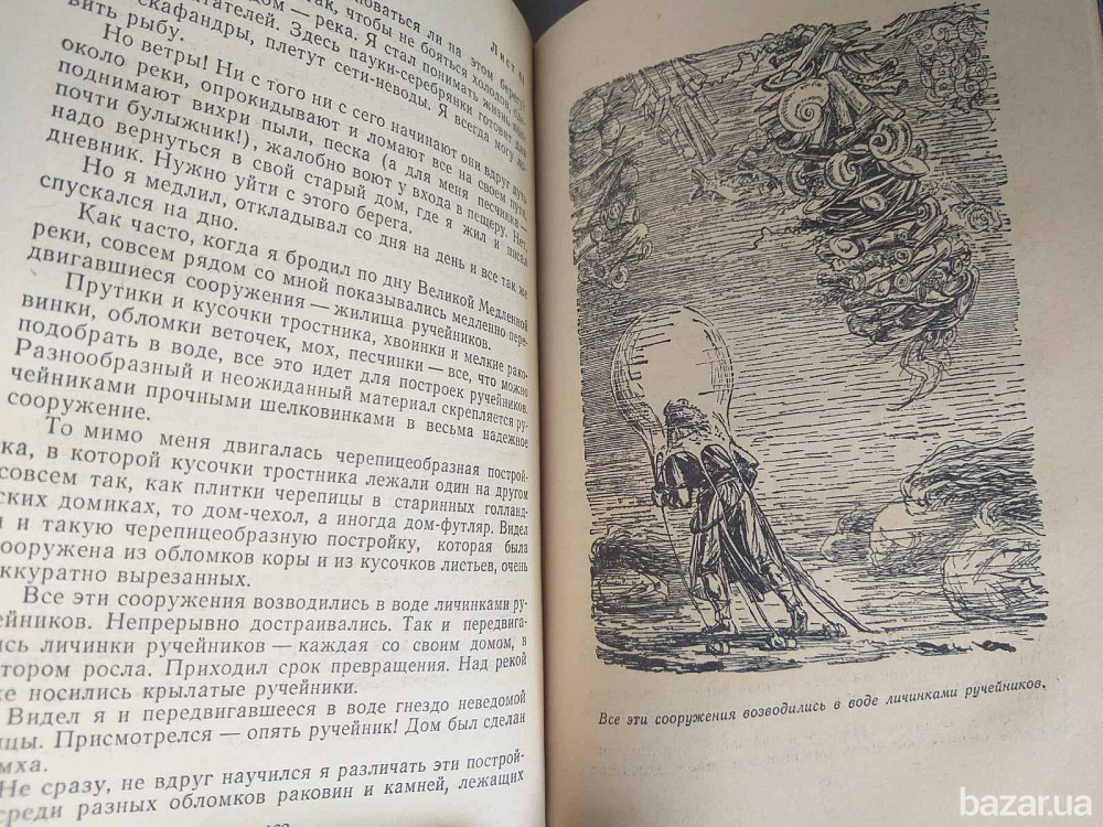 Владимир Брагин В Стране Дремучих Трав БПНФ рамка библиотека приключений Запоріжжя - зображення 7