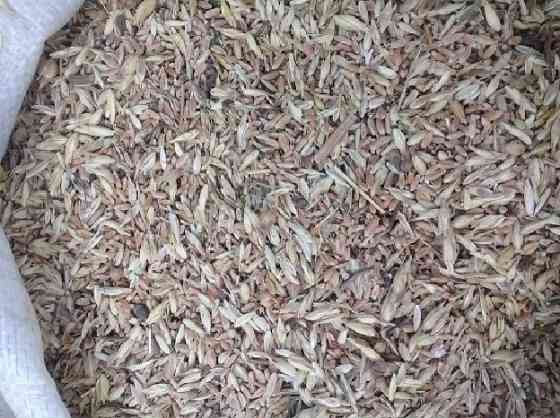 Постійно купуємо зернові відходи, некондиційне зерно Харків