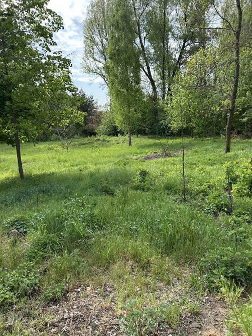 продажа участок под жилую застройку Васильковский, Васильков, 15000 $ Васильков - изображение 8