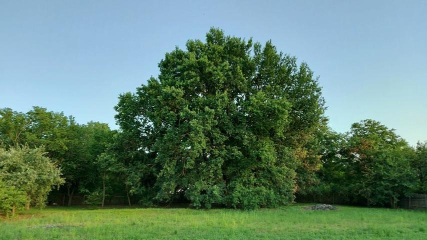 Пропоную купити будинок в с.Бабайківка. Дніпро - зображення 6