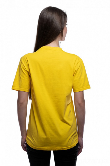 Витяжка вбудована Gorenje TH-60E3-X Київ - зображення 4