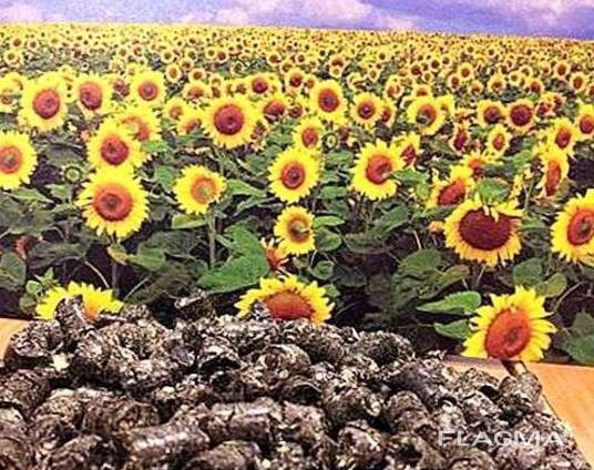 Брикет. Пелети з лушпиння (від 22 тонн). Хмельницкий - изображение 1