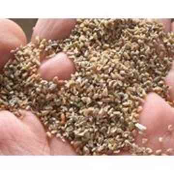 Закуповуємо зерновідходи. Самовивіз Черкассы