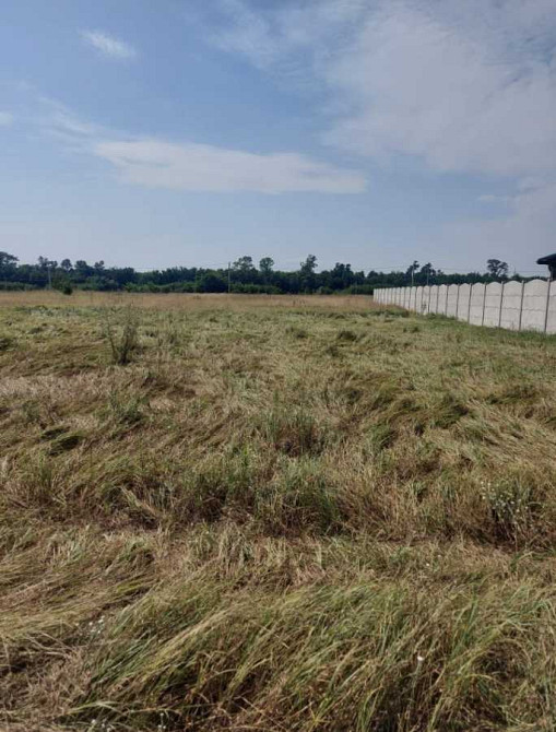 продажа участок под жилую застройку Вышгородский, Ясногородка, 7000 $  - изображение 3