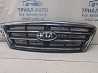 Решетка радиатора Kia Sorento 2002-2011 863503E510 (Арт. 82355) Київ