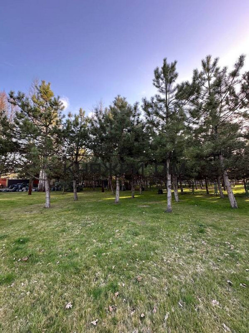 0% комісії Продаж земельної ділянки 25 сот мальовничому місці КТ Лісний КОД 264766 Київ - зображення 5