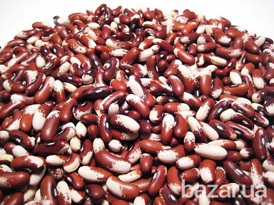 Продам фасоль по Украине и на экспорт Полтава - зображення 1