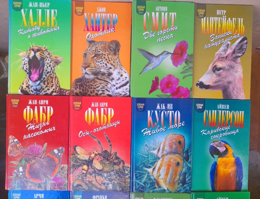 Зеленая серия с эмблемой приключения Запорожье - изображение 2