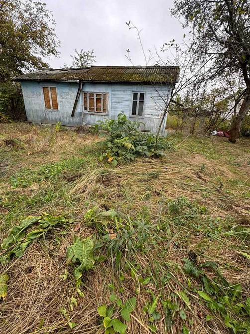 продажа земля сельскохозяйственного назначения Бориспольский, Чубинское, 18000 $  - зображення 3