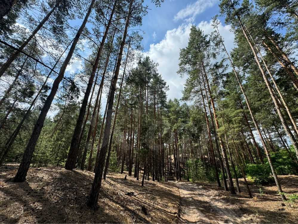 продажа участок под жилую застройку Бориспольский, Процев, 88000 $  - зображення 5