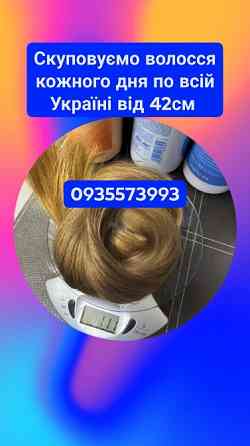 Скупка волосся кожного дня по всій Україні від 42см -0935573993 Киев