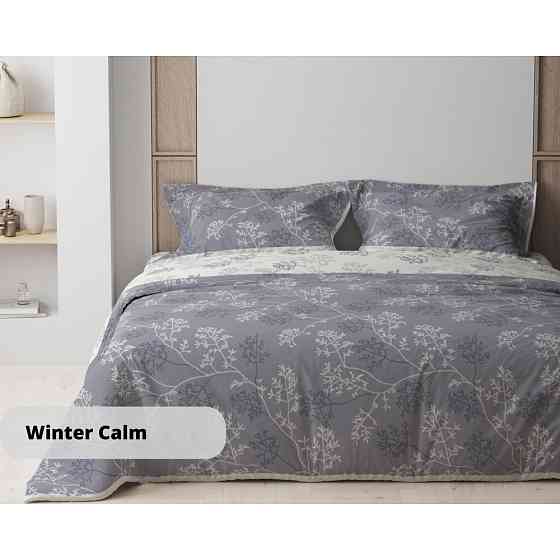 Постільна білизна сімейна ТЕП Happy Sleep Winter calm 2-03797-24835 150х215х2 см Київ