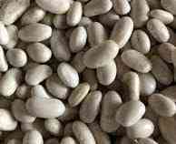 Насіння квасолі Неві Бінс, Червона довга, Пінто, Червона Шапочка. Запорожье