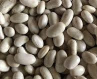 Насіння квасолі Неві Бінс, Червона довга, Пінто, Червона Шапочка. Запоріжжя - зображення 1