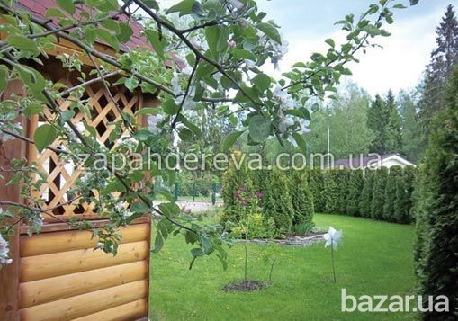 Блок-хаус цена производителя Ужгород - изображение 3